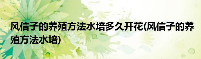 风信子的养殖方法水培多久开花(风信子的养殖方法水培)