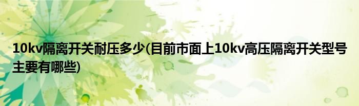 10kv隔离开关耐压多少(目前市面上10kv高压隔离开关型号主要有哪些)