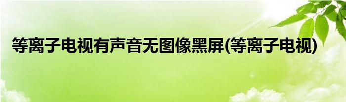 等离子电视有声音无图像黑屏(等离子电视)