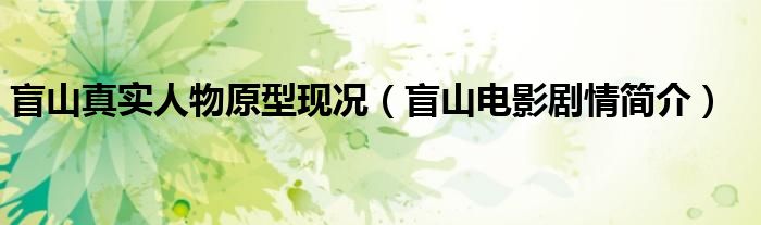 盲山真实人物原型现况（盲山电影剧情简介）