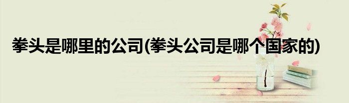 拳头是哪里的公司(拳头公司是哪个的)