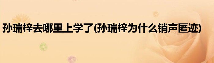 孙瑞梓去哪里上学了(孙瑞梓为什么销声匿迹)