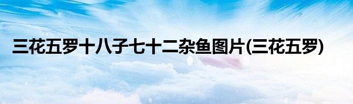 三花五罗十八子七十二杂鱼图片(三花五罗)