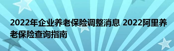 2022年企业养老保险调整消息 2022阿里养老保险查询指南