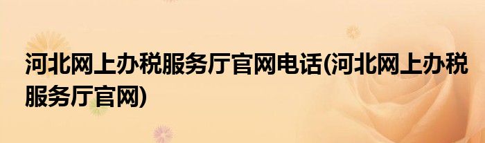 河北网上办税服务厅官网电话(河北网上办税服务厅官网)