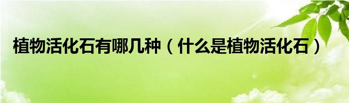 植物活化石有哪几种（什么是植物活化石）
