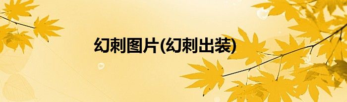 幻刺图片(幻刺出装)