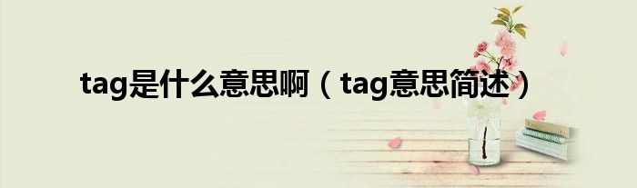 tag是什么意思啊（tag意思简述）