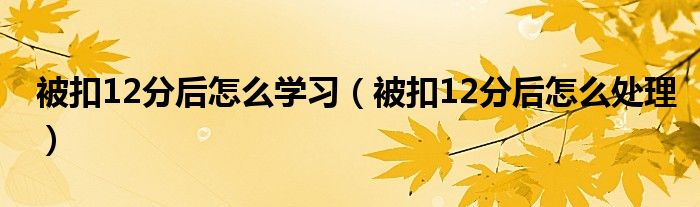 被扣12分后怎么学习（被扣12分后怎么处理）