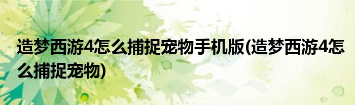 造梦西游4怎么捕捉宠物手机版(造梦西游4怎么捕捉宠物)