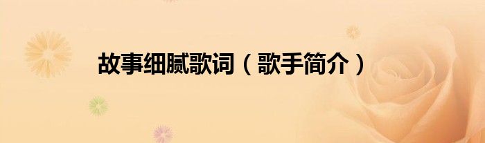 故事细腻歌词（歌手简介）