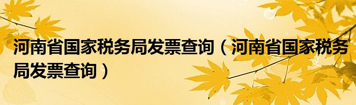 河南省税务局发票查询（河南省税务局发票查询）