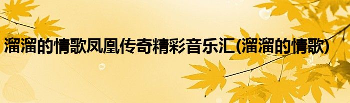 溜溜的情歌凤凰传奇精彩音乐汇(溜溜的情歌)