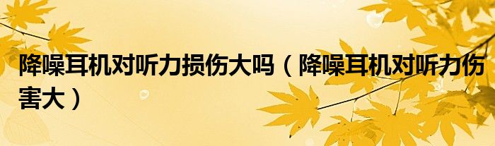 降噪耳机对听力损伤大吗（降噪耳机对听力伤害大）