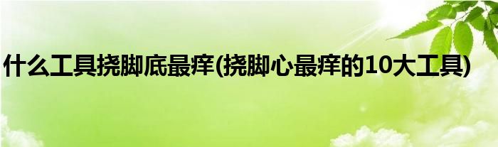 什么工具挠脚底最痒(挠脚心最痒的10大工具)