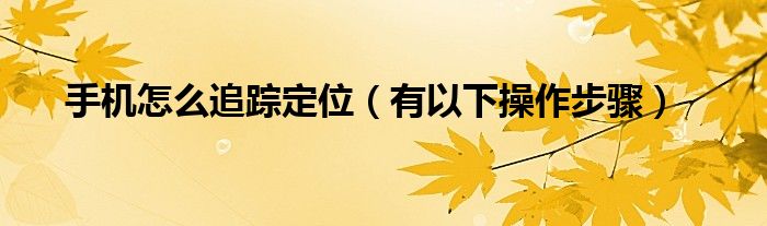 手机怎么追踪定位（有以下操作步骤）
