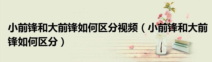 小前锋和大前锋如何区分视频（小前锋和大前锋如何区分）