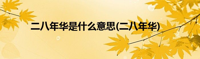 二八年华是什么意思(二八年华)