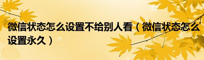 微信状态怎么设置不给别人看（微信状态怎么设置）