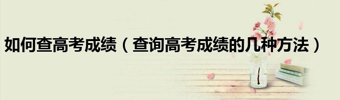 如何查高考成绩（查询高考成绩的几种方法）