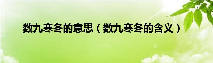 数九寒冬的意思（数九寒冬的含义）