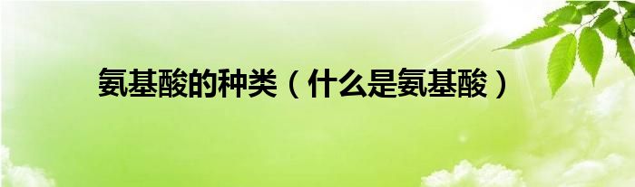 氨基酸的种类（什么是氨基酸）
