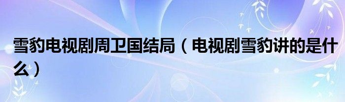 雪豹电视剧周卫国结局（电视剧雪豹讲的是什么）