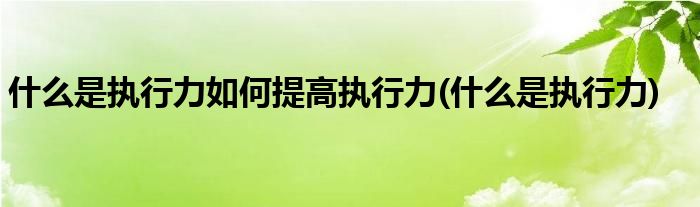 什么是执行力如何提高执行力(什么是执行力)