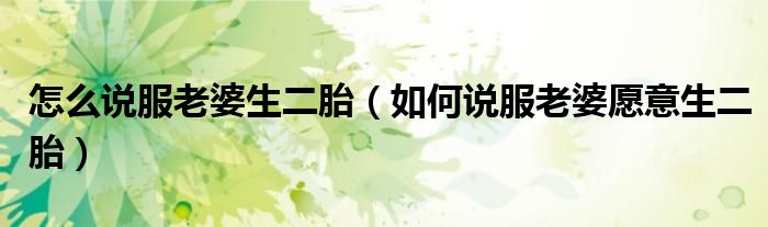 怎么说服老婆生二胎（如何说服老婆愿意生二胎）