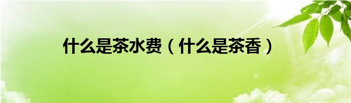 什么是茶水费（什么是茶香）