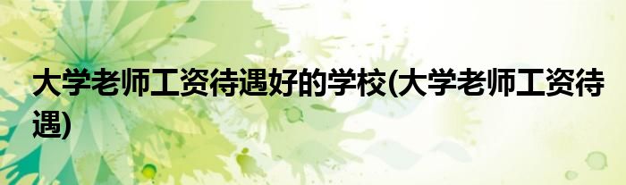 大学老师工资待遇好的学校(大学老师工资待遇)