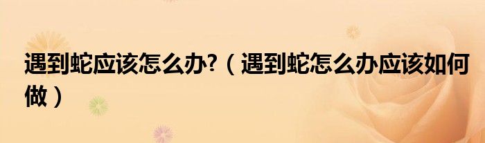 遇到蛇应该怎么办?（遇到蛇怎么办应该如何做）
