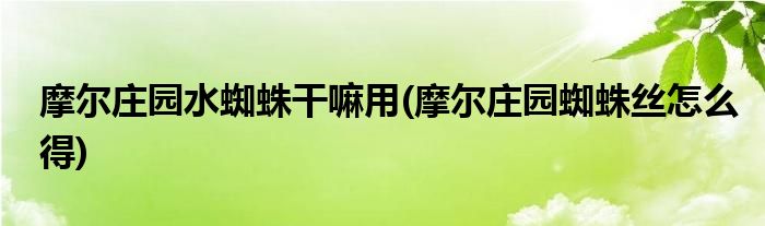 摩尔庄园水蜘蛛干嘛用(摩尔庄园蜘蛛丝怎么得)