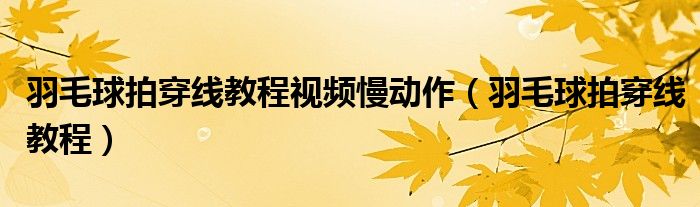 羽毛球拍穿线教程视频慢动作（羽毛球拍穿线教程）