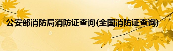 公安部消防局消防证查询(全国消防证查询)