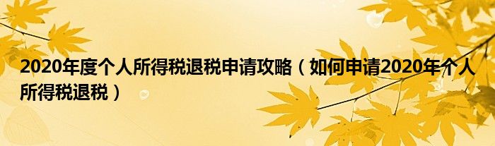 2020年度个人所得税退税申请攻略（如何申请2020年个人所得税退税）
