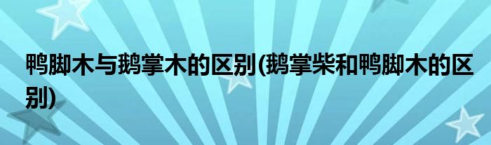 鸭脚木与鹅掌木的区别(鹅掌柴和鸭脚木的区别)