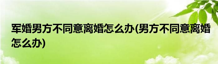 军婚男方不同意离婚怎么办(男方不同意离婚怎么办)