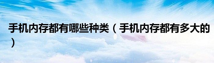 手机内存都有哪些种类（手机内存都有多大的）