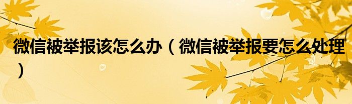 微信被举报该怎么办（微信被举报要怎么处理）