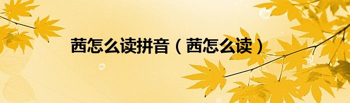 茜怎么读拼音（茜怎么读）