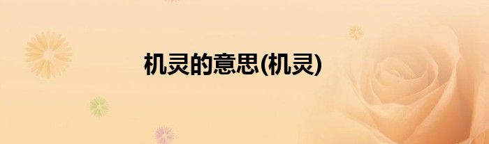 机灵的意思(机灵)