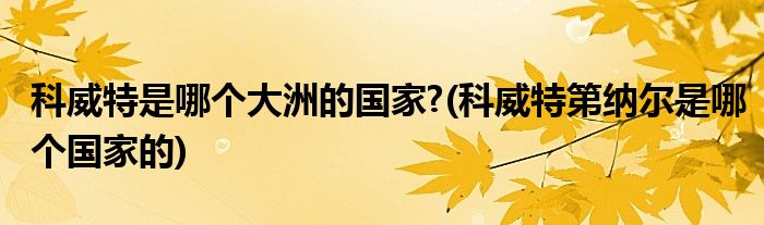 科威特是哪个大洲的?(科威特第纳尔是哪个的)