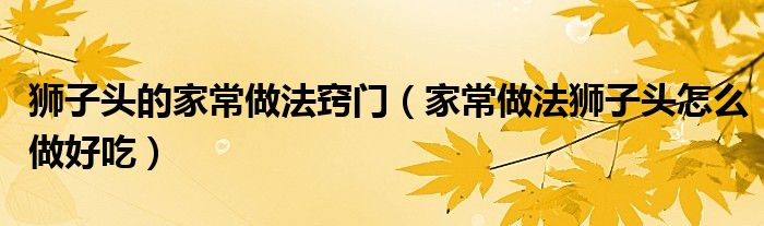 狮子头的家常做法窍门（家常做法狮子头怎么做好吃）