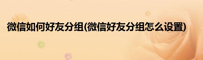 微信如何好友分组(微信好友分组怎么设置)