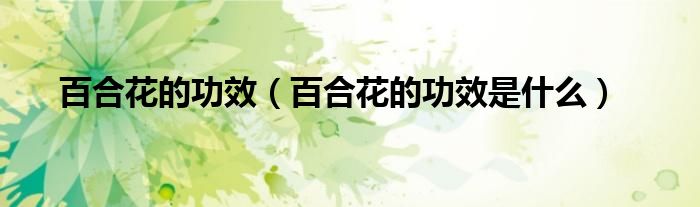 百合花的功效（百合花的功效是什么）