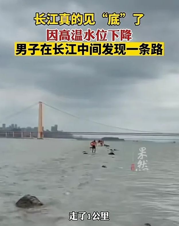 因高温水位下降，男子在长江中间发现一条路走了1公里