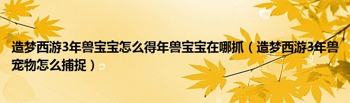 造梦西游3年兽宝宝怎么得年兽宝宝在哪抓（造梦西游3年兽宠物怎么捕捉）