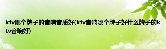 ktv哪个牌子的音响音质好(ktv音响哪个牌子好什么牌子的ktv音响好)