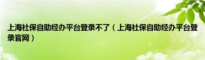 上海社保自助经办平台登录不了（上海社保自助经办平台登录官网）